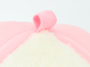 guinea pig accesories