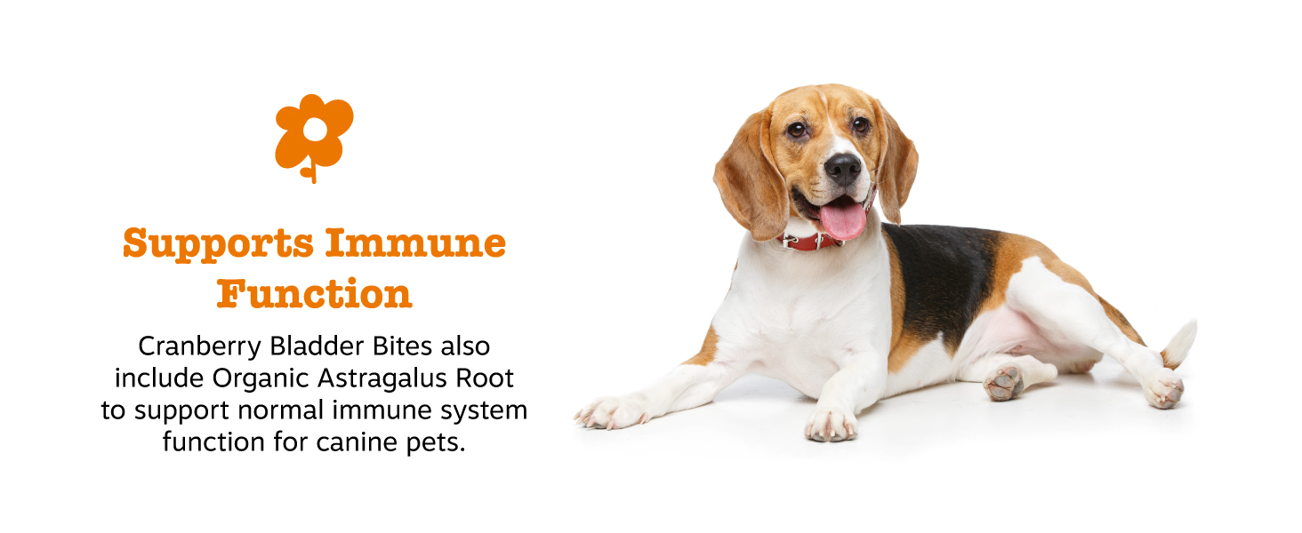 Supports Immune Function