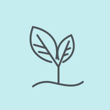 condisioner toddler sugar daughter curly colloidal talc-free design sulfate women clean ingredients