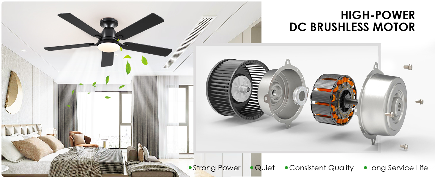  Ceiling Fans