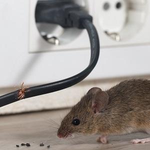 Small manufacture image 3