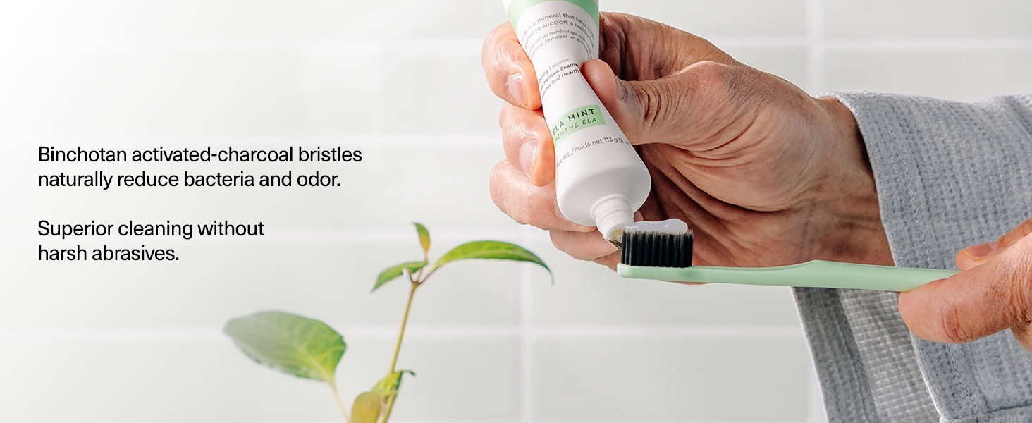 binchotan activated-charcoal bristles