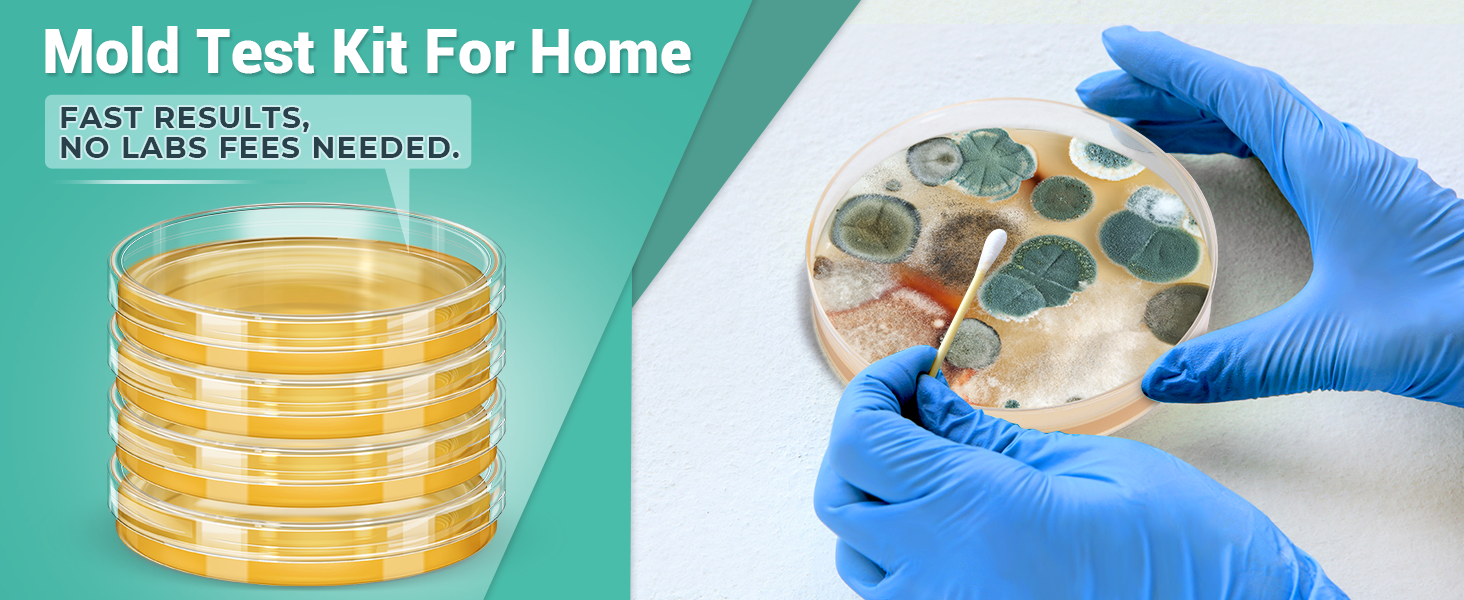 Mold Test Kit for Home