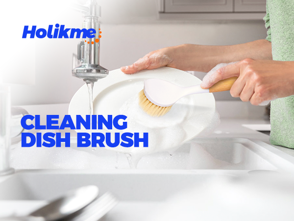 dish brush