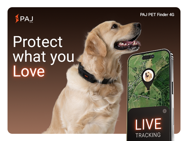 洋楽 4 DOG Life, Loyalty & Loot Amazon.com : PAJ GPS Dog Tracker - 4G Real-Time Tracking