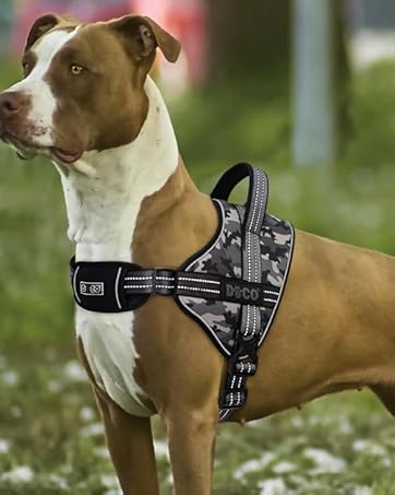 DOCO Dog Harness