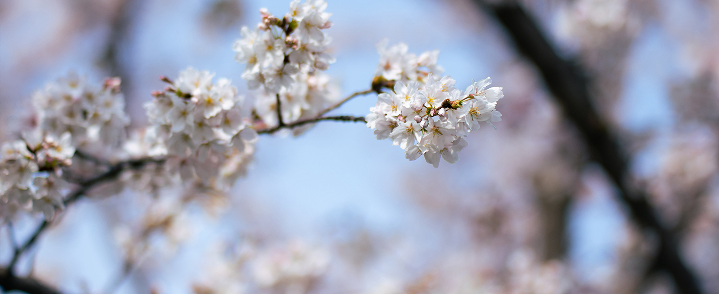 xt20 full frame
