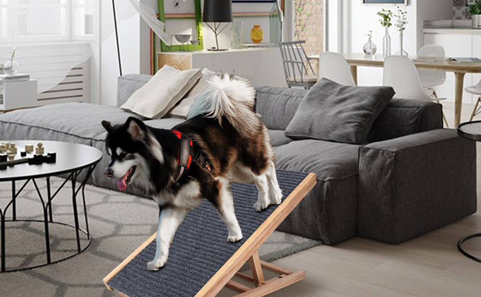 Dog Ramp for Couch, Bed or Car Long Pet Stairs for Small &amp; Large Old Dog