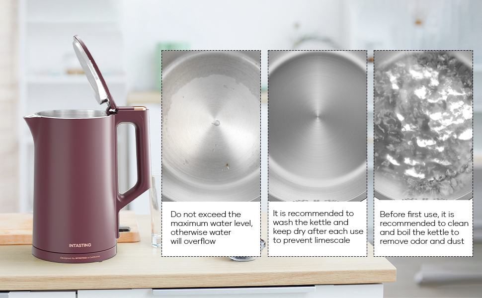 INTASTING Electric Kettle for boiling water Double Wall 100
