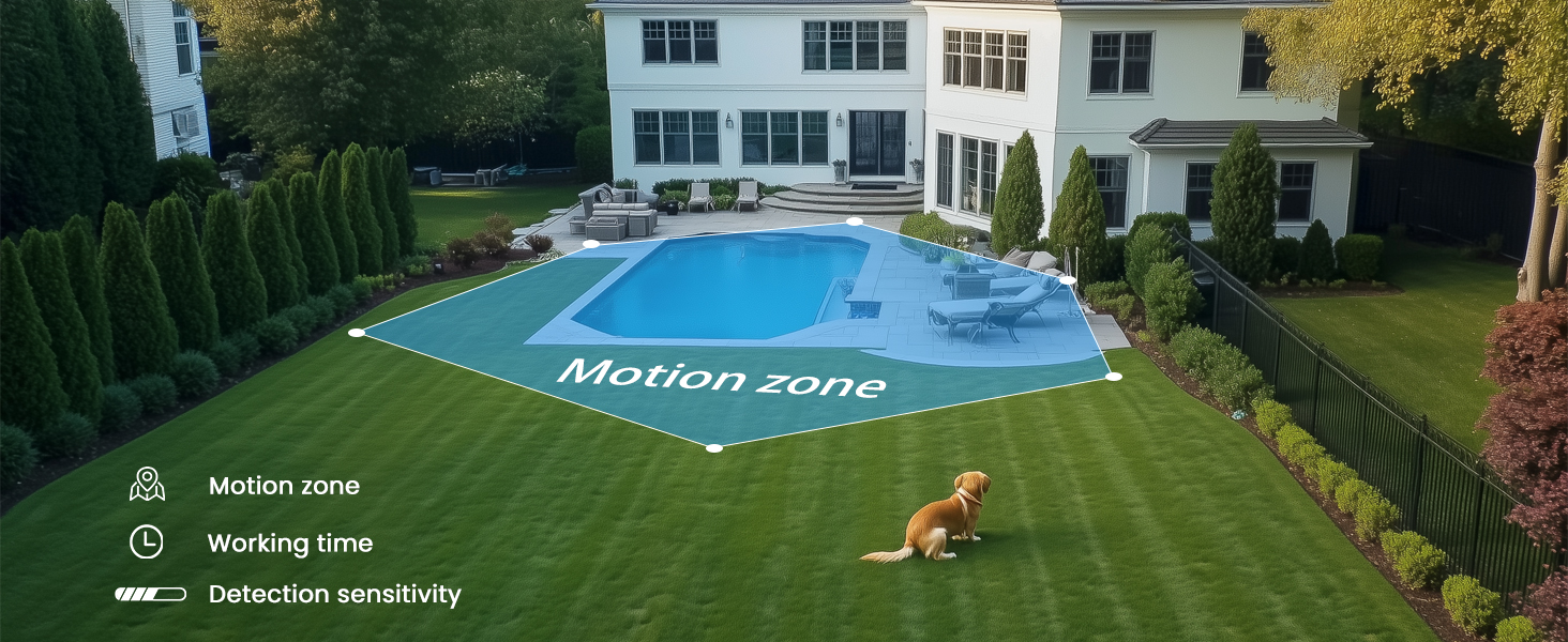 motion detection area