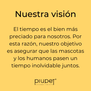 Vision company cat dog dog accessories cat accessories