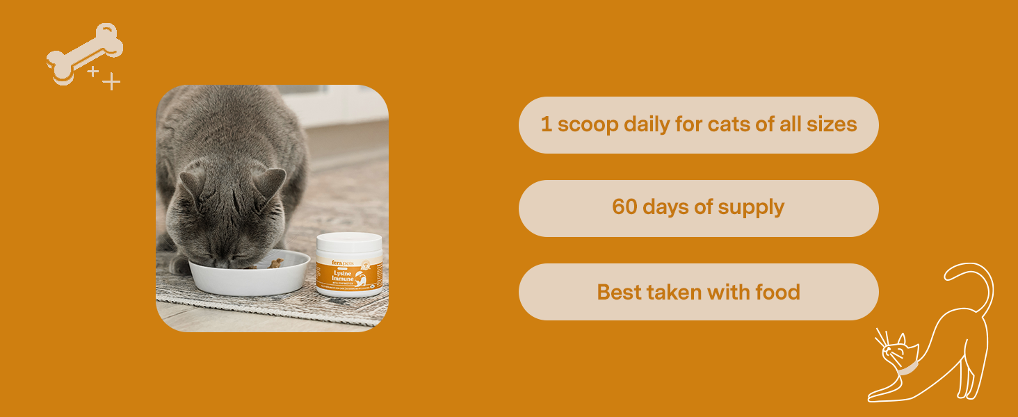 1 scoop daily for cats of all sizes, 60 days of supply, best taken with food
