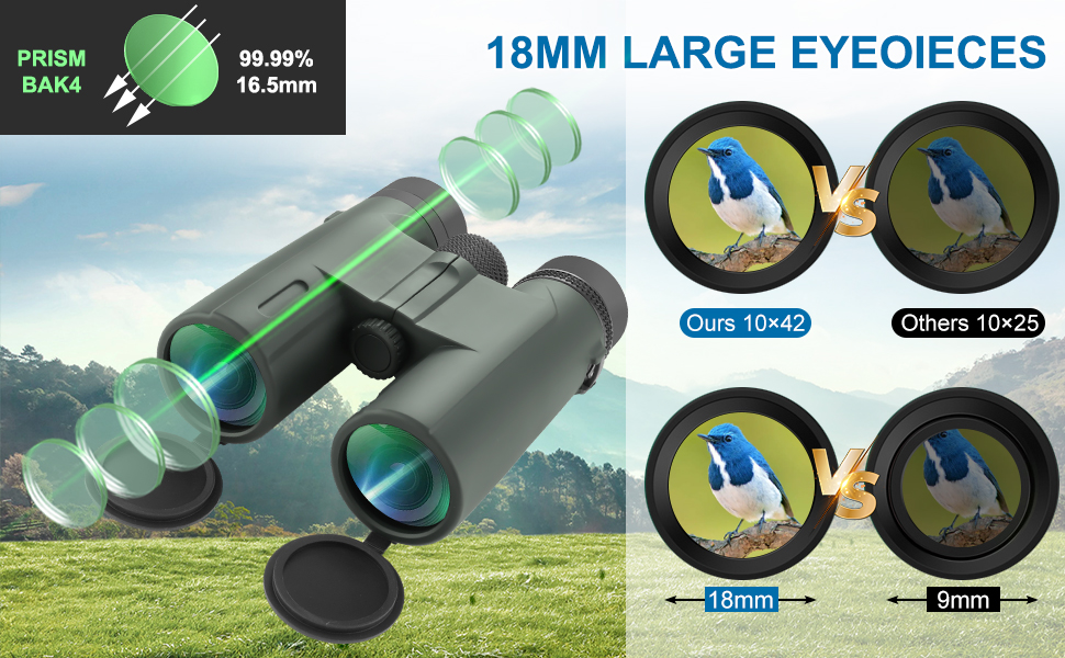 binoculars for adults high powered
