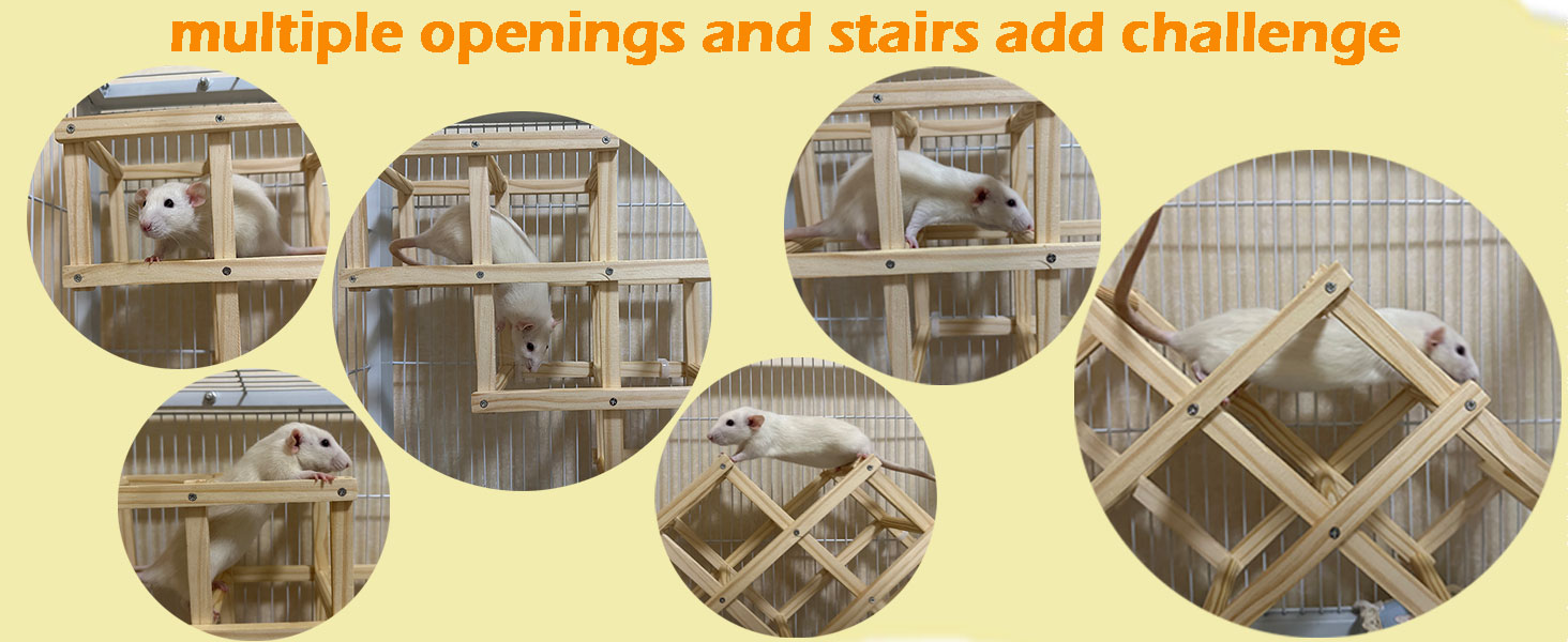 rat cage accessories climbing