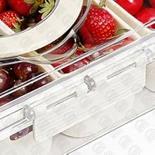 Divided serving tray with lid