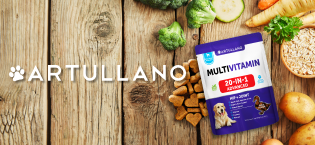 chews for dogs