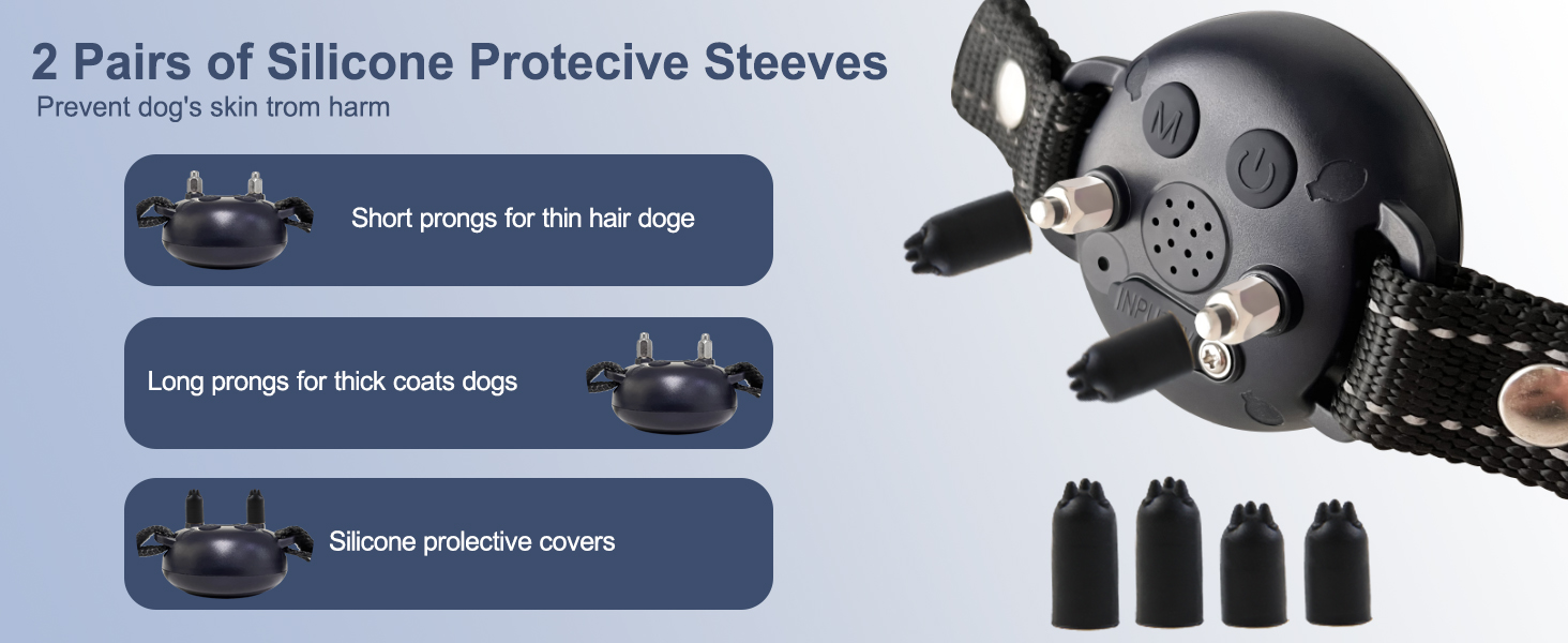dog training collar