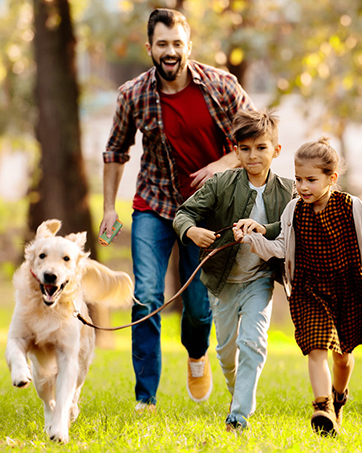 Dog Bark Deterrent Devices