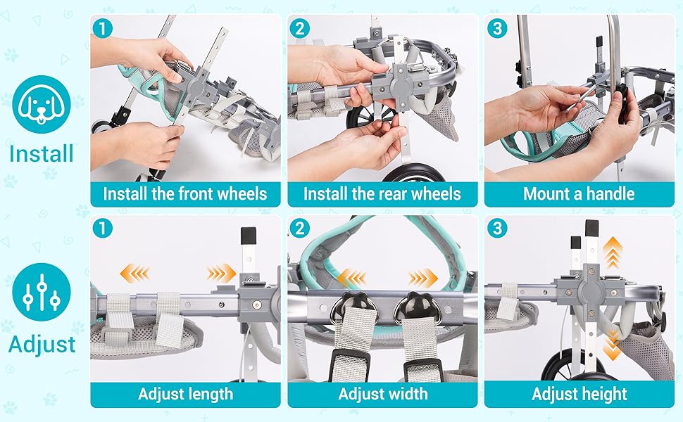 dog wheels for back legs