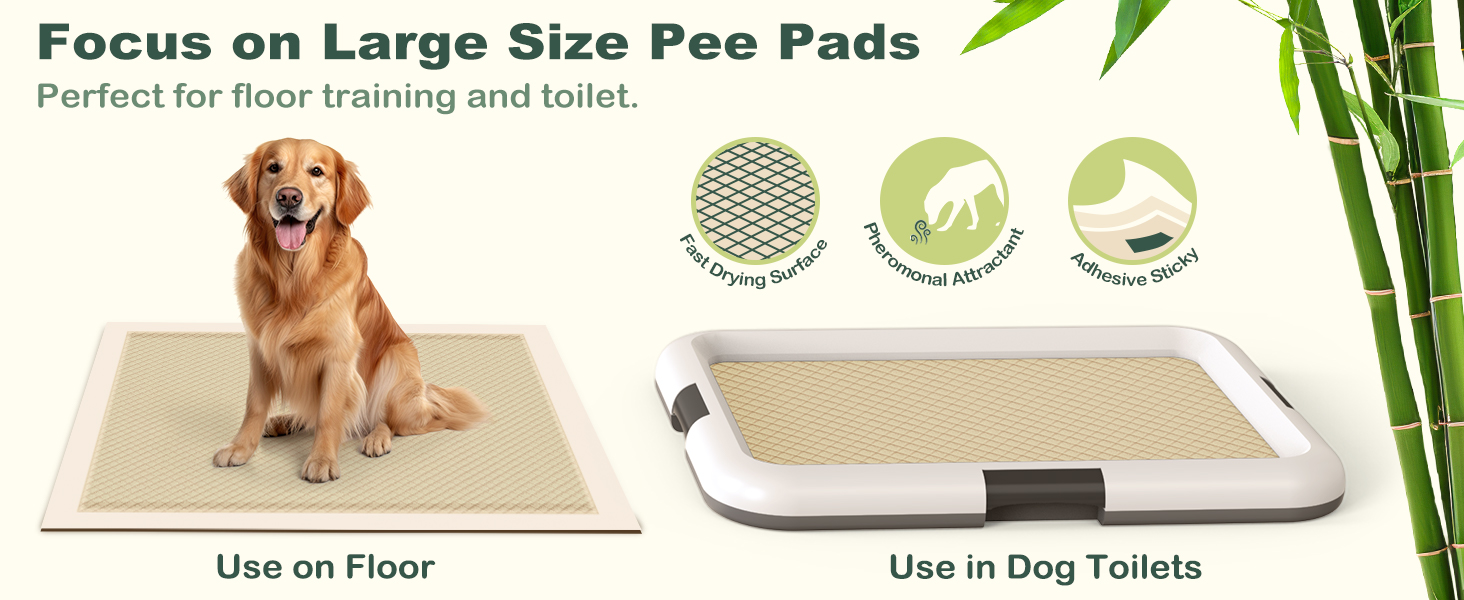dog pee pads
