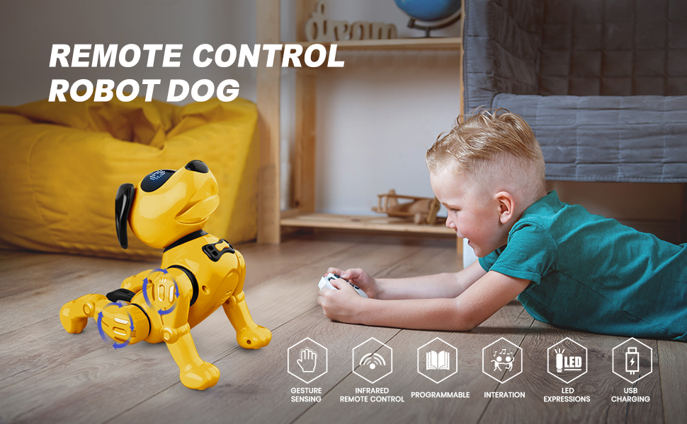 HANMUN Robot Dog Toy for Kids, Remote Control Robot Toy Dog