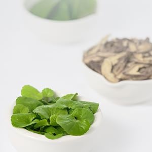 Korean skincare,Moisturizing,Hydrating,Nourishing,Soothing,Calming Pad