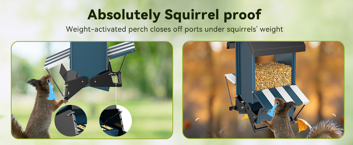 bird feeders for outdoors hanging,wild bird feeders,squirrel proof bird feeder
