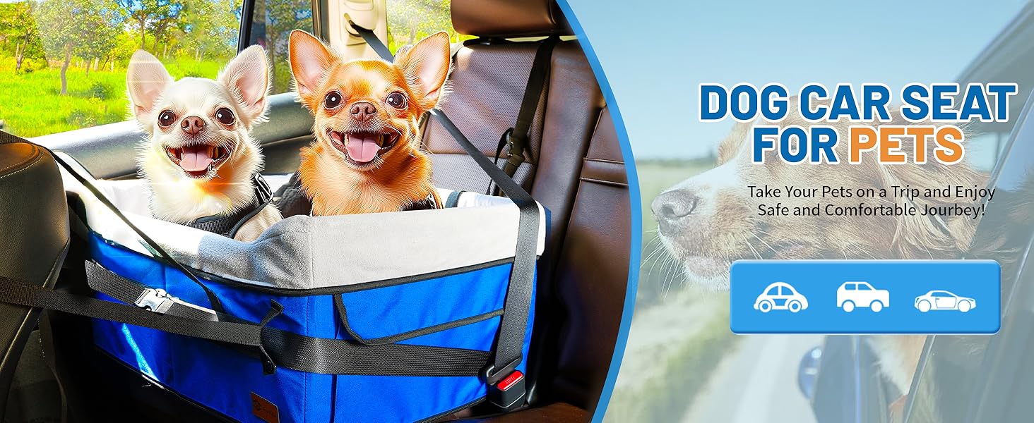 dog car seats