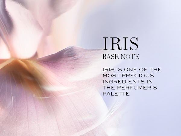 iris scent, iris fragrance
