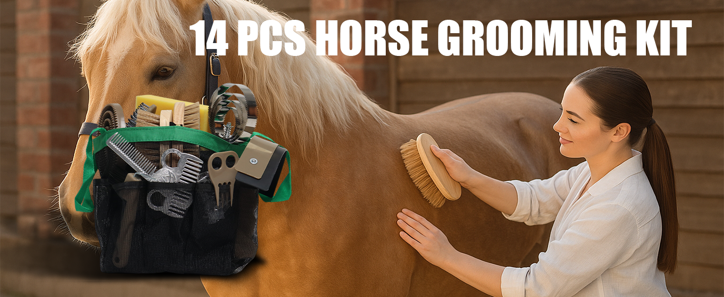 horse grooming kit