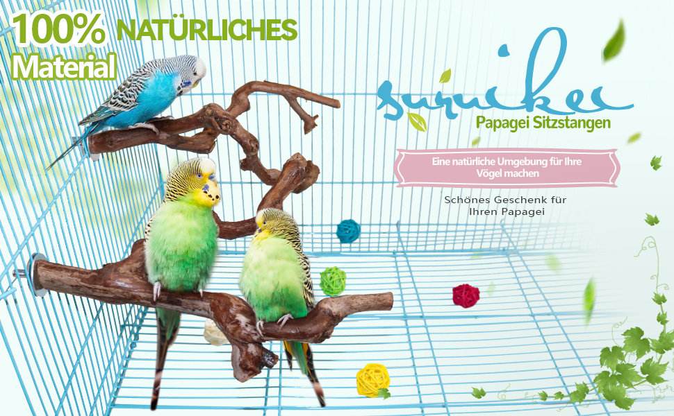Vogelkäfig-Zubehör