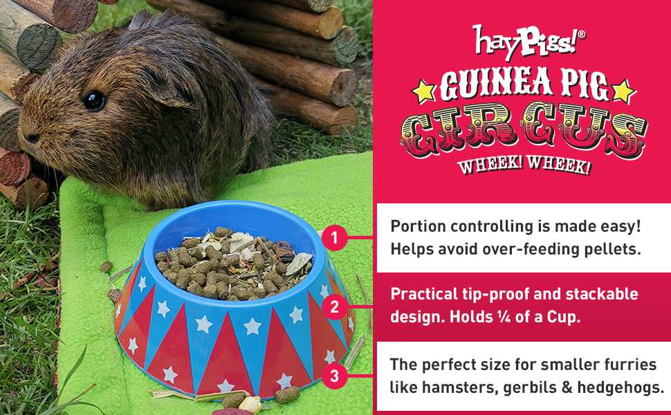 Guinea pig feeder