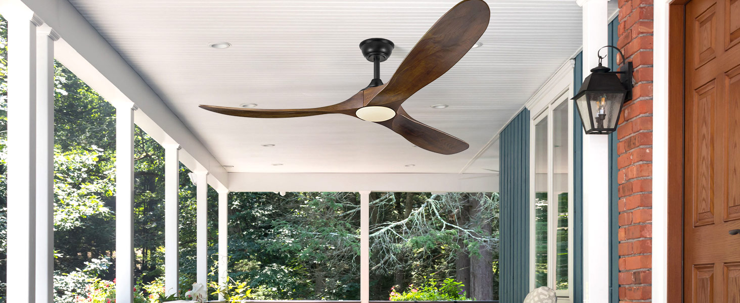 ceiling fan with light