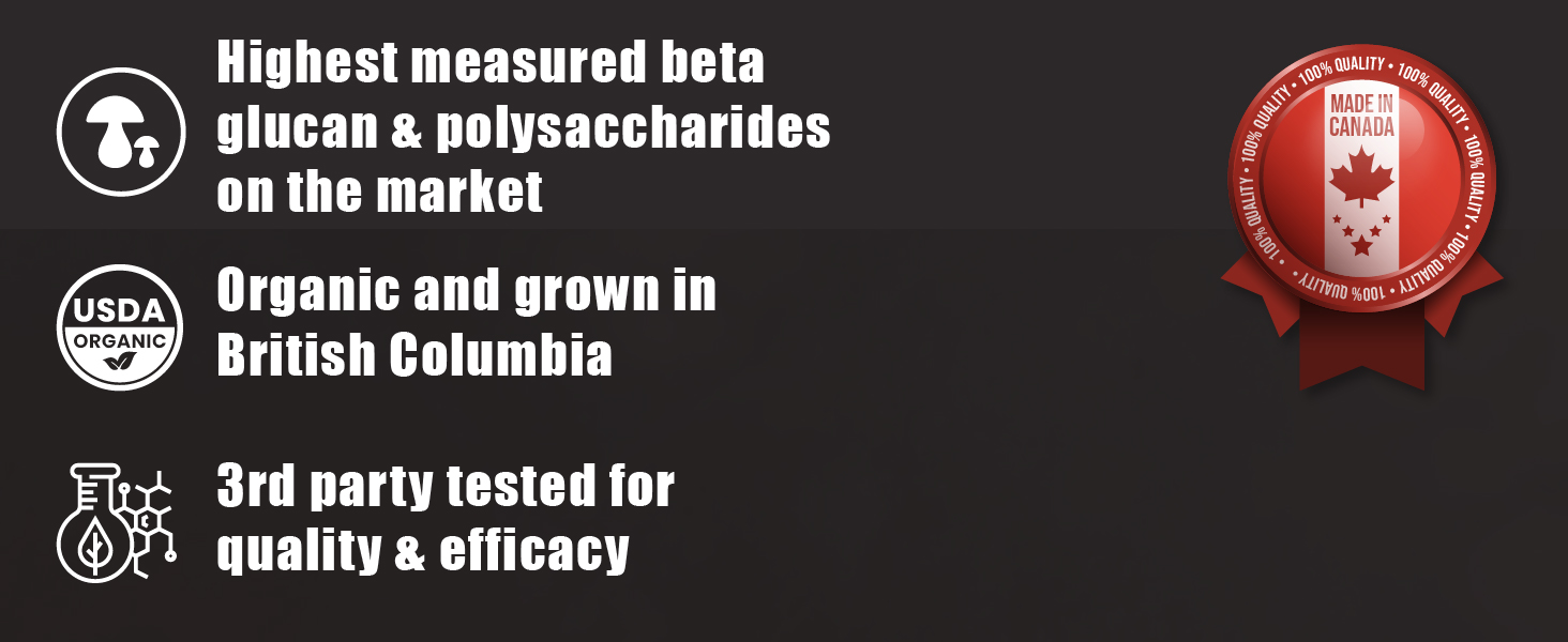 cacao mushroom chai coffee adaptogen organic energy focus nootropic energy immunity Functional