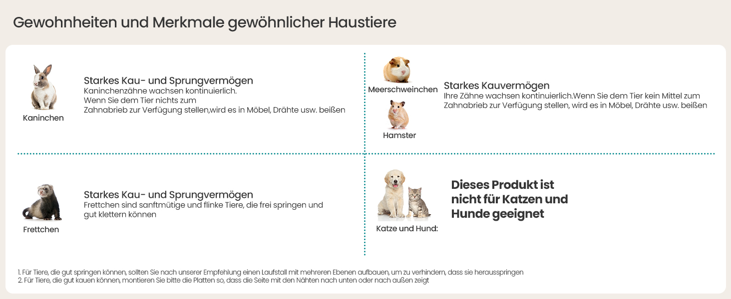Informationstabelle mit Bildern und Text über gewöhnliche Haustiere. Enthält Kaninchen, Meerschweinchen, Katzen und Hunde mit kurzen Beschreibungen auf Deutsch