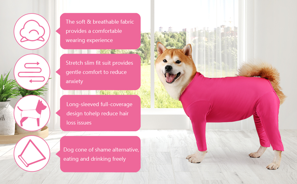 Due Felice Dog Onesie Shedding Suit Full Coverage Pet Surgical Recovery Bodysuit