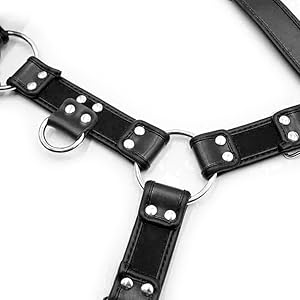 harness
