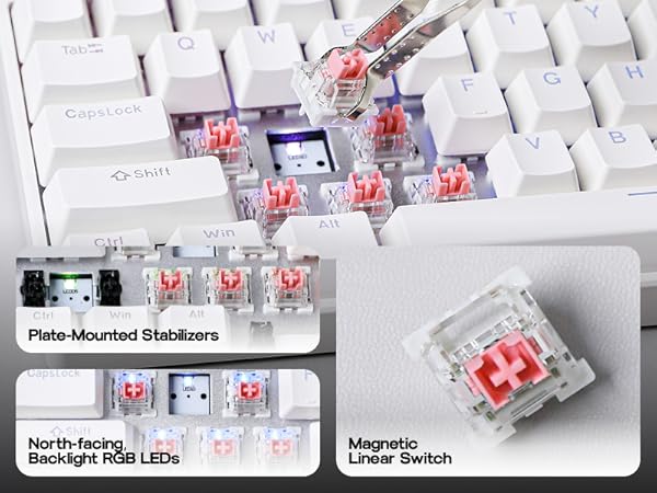 Amazon.com: MechLands VTER Fighting68 HE Magnetic Gaming