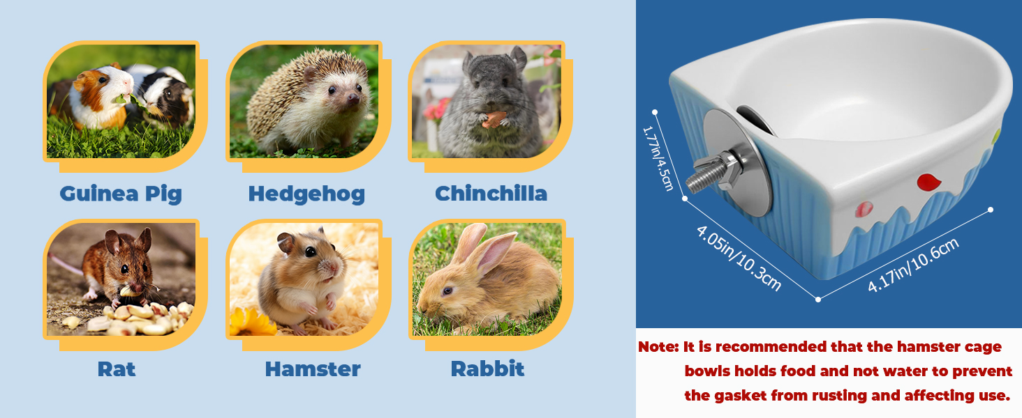 small animal feeding bowl