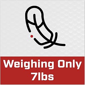 lightweigh golf cart charger