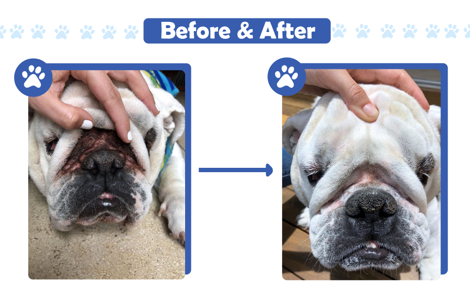 Squishface Wrinkle Paste