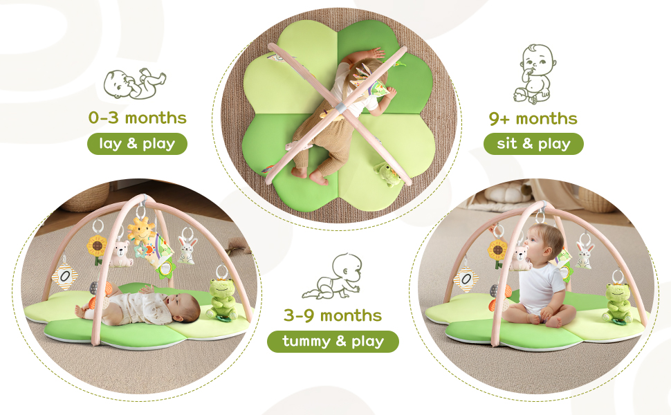 Baby Play Gym