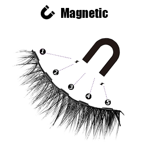 magnetic lashes