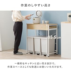 Amazon.co.jp: 萩原 レンジラック ゴミ箱上ラック 引き出し付