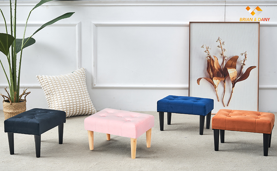 BRIAN & DANY Small Footstool Ottoman, Velvet Wooden Foot Stool Ottoman