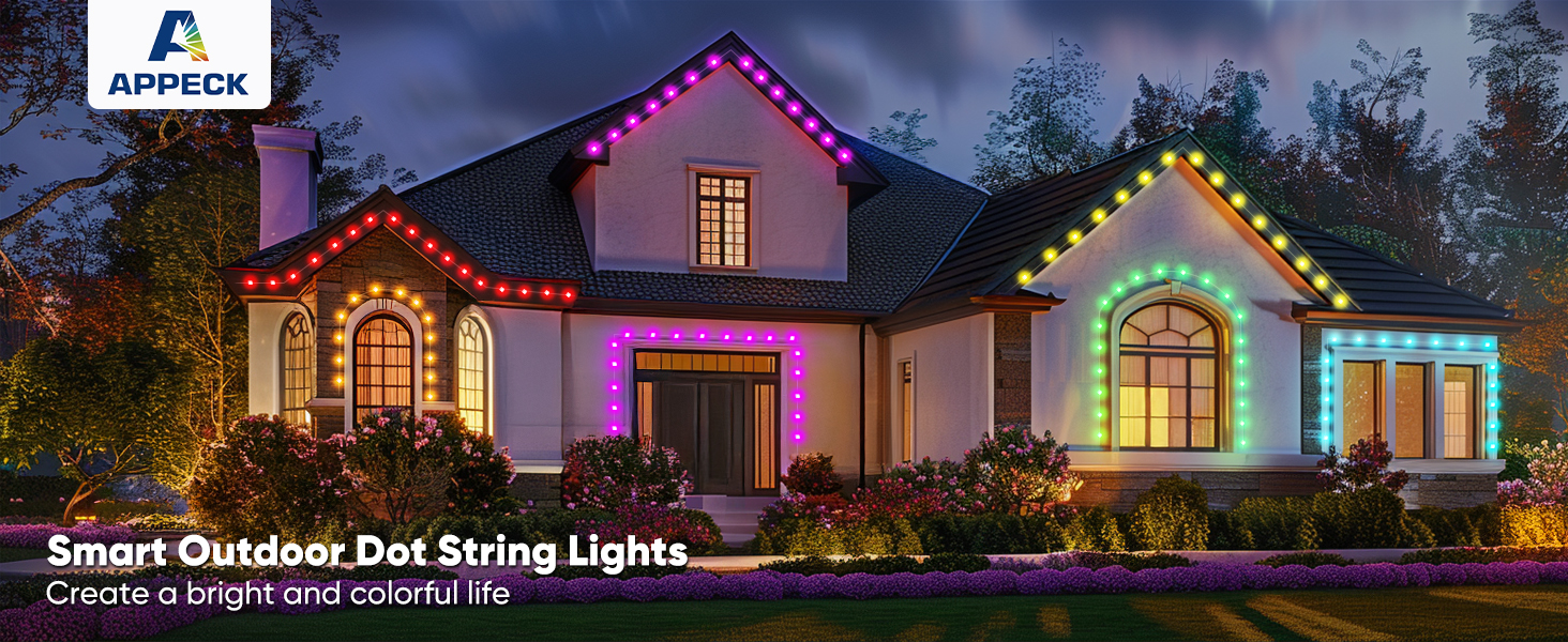 APPECK Smart Dot String Lights