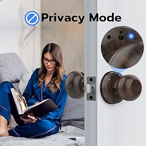 Electric Door Knob