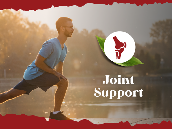 Joint Support 