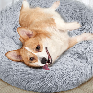 A small tan and white dog lying on a round, fluffy gray pet bed. The dog has pointed ears and is looking at the camera with its tongue slightly out.