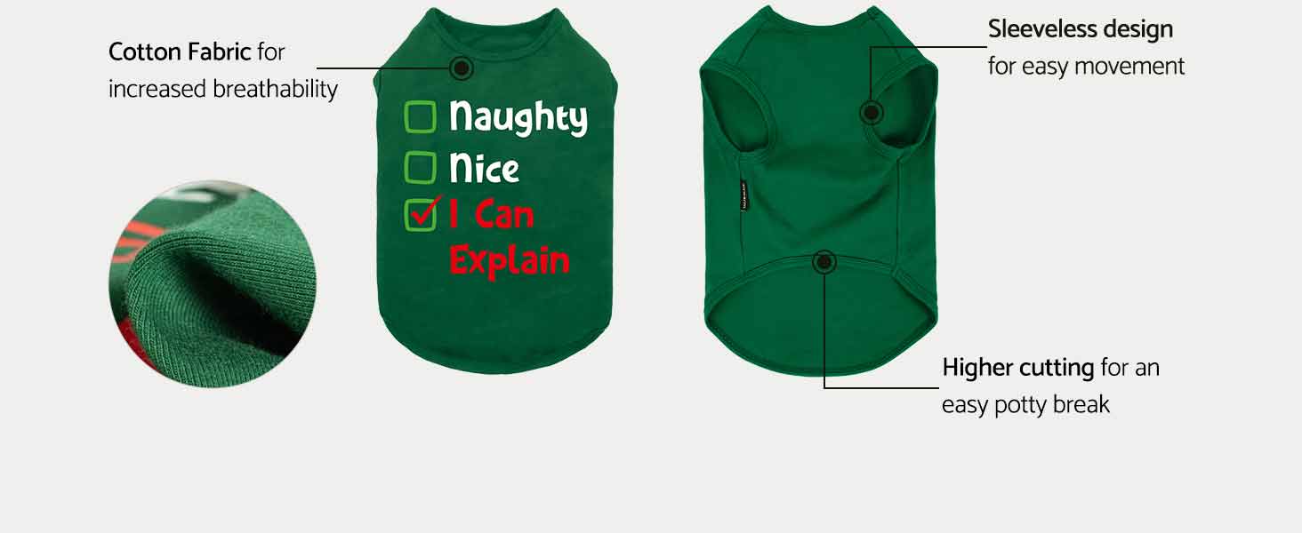 Naughty or Nice Christmas Dog Shirt